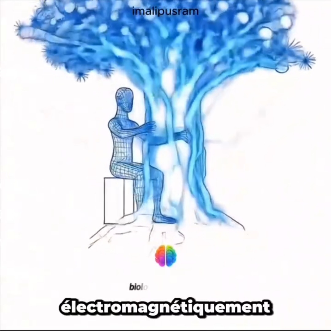 La résonnance de Schumann