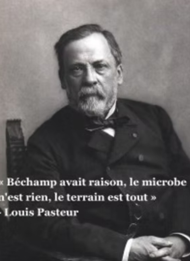 Prévenir plutôt que guérir. Le virus n est rien, le terrain c est tout !