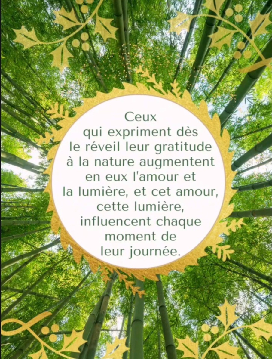 Notre vie comme un voyage en train