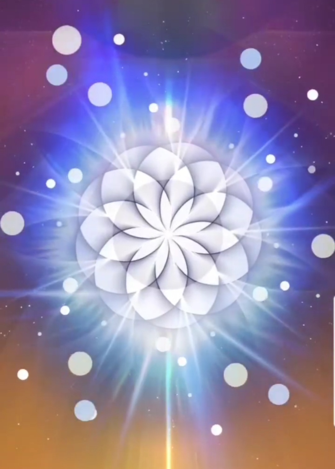 Signes de Méthamorphose