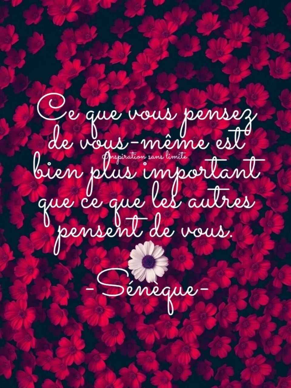 Aimer à l infini ; l ego maître du jeu ; le libre arbitre