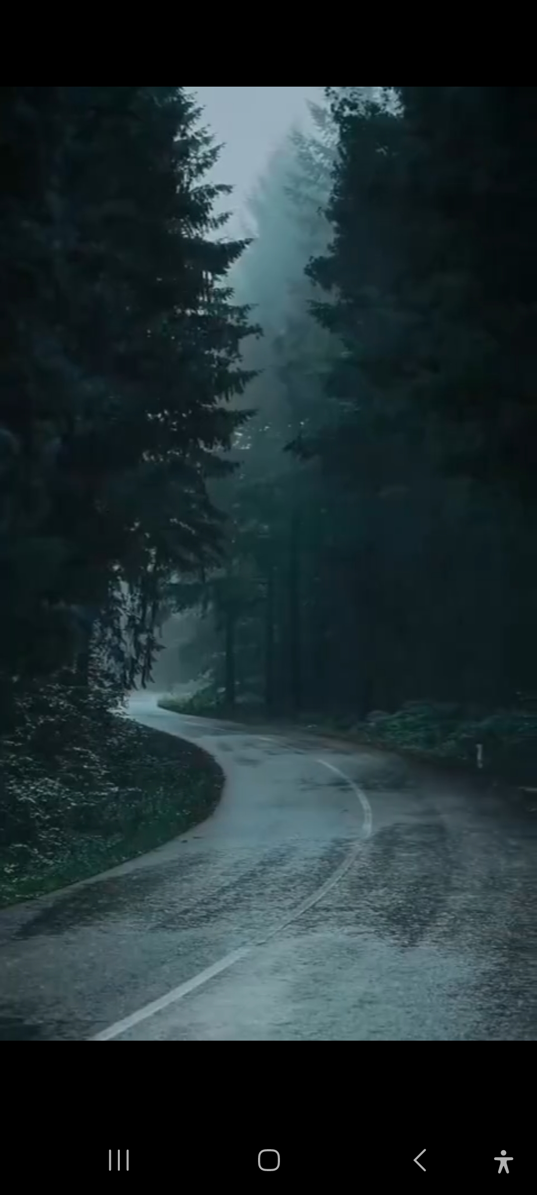 Comprendre les traumatismes