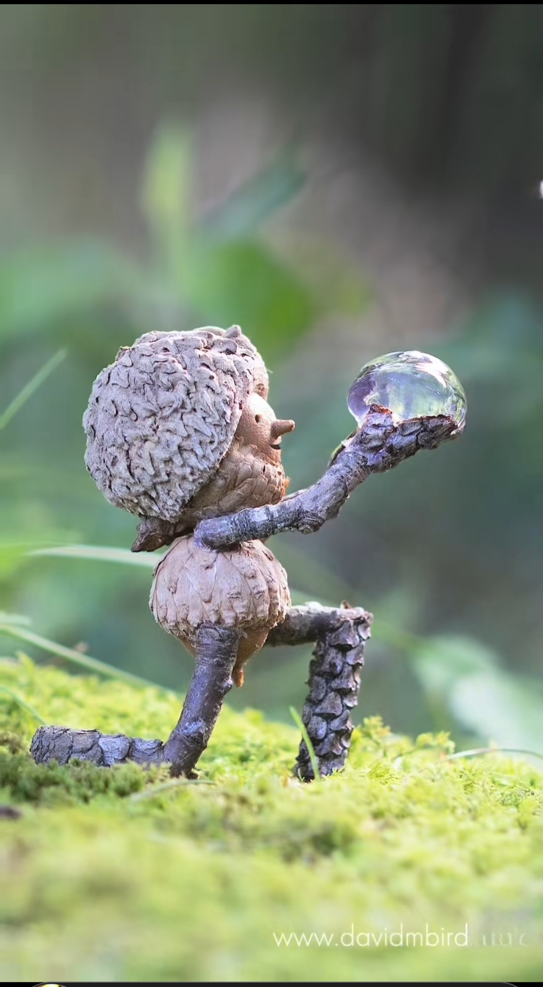 Servir la Vie et non se servir de la Vie