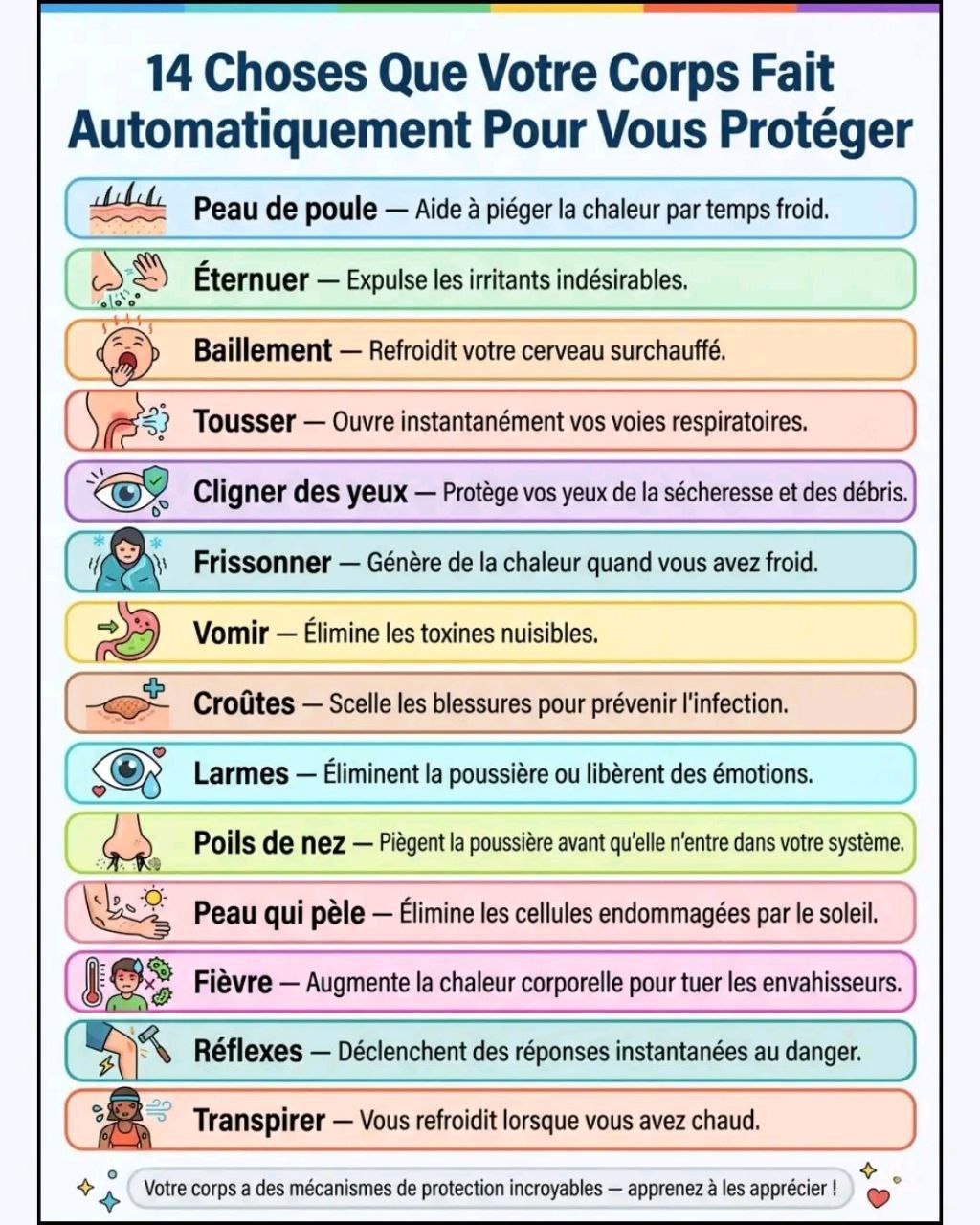 4 remèdes de prédilection