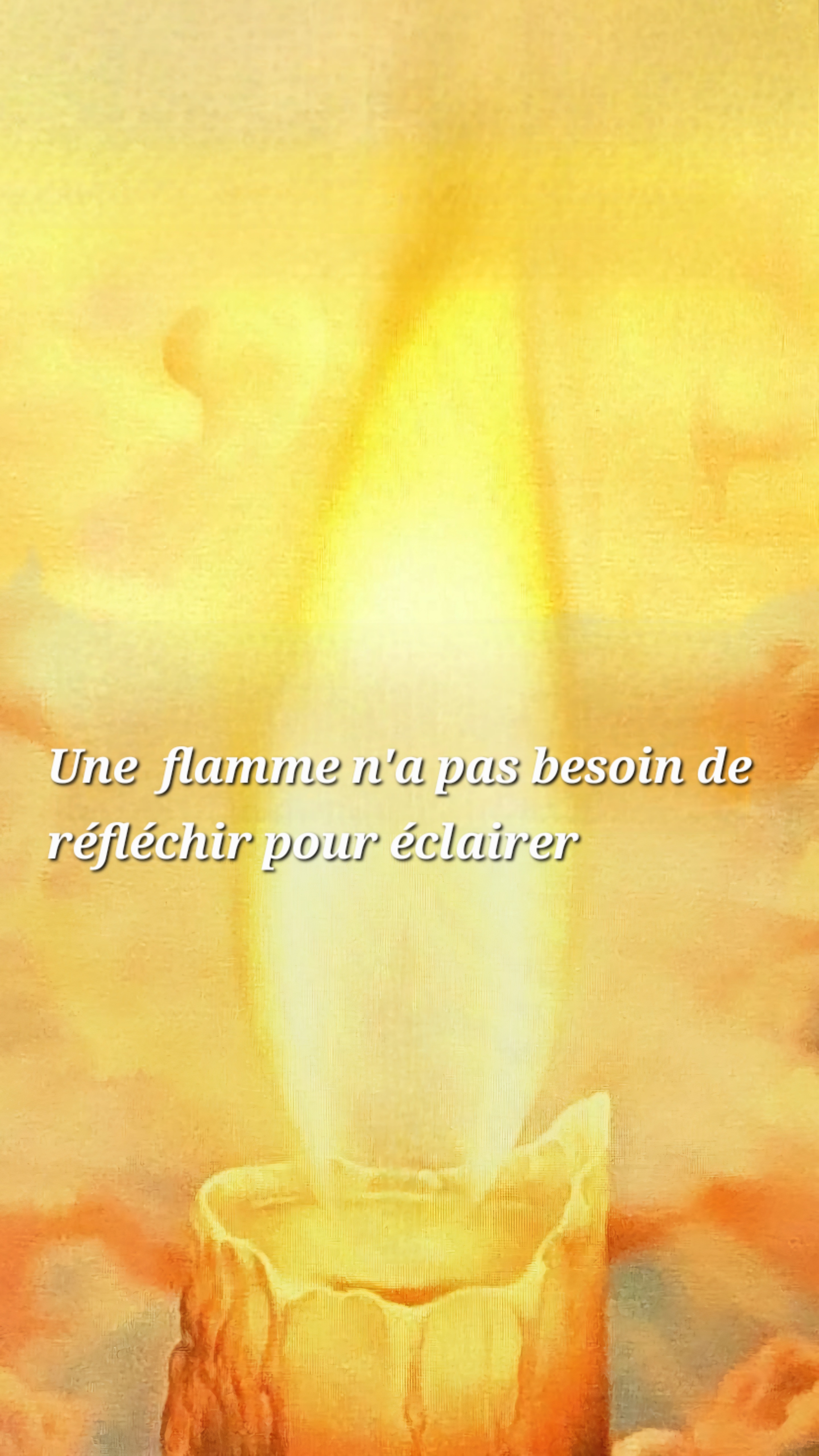 L animalité gouverne t elle notre univers ?