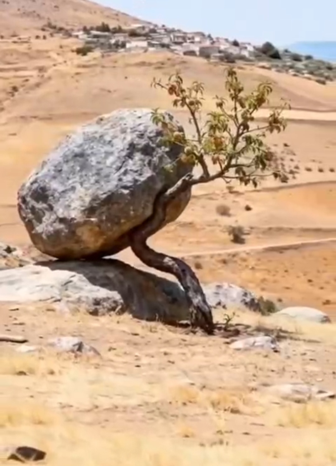 À force d être tolérant n en devient on pas lâche...
